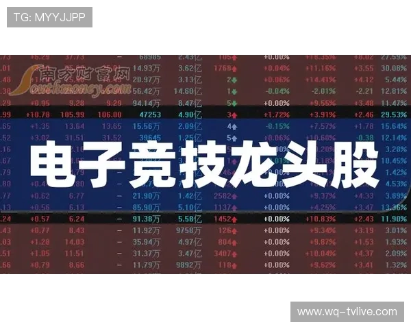 荷甲波胆怎么看 电子竞技投注避坑防骗指南 荷甲波胆怎么看 电子竞技投注避坑防骗指南